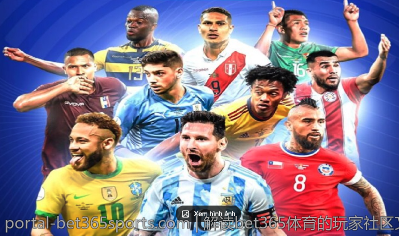 解读bet365体育的玩家社区文化