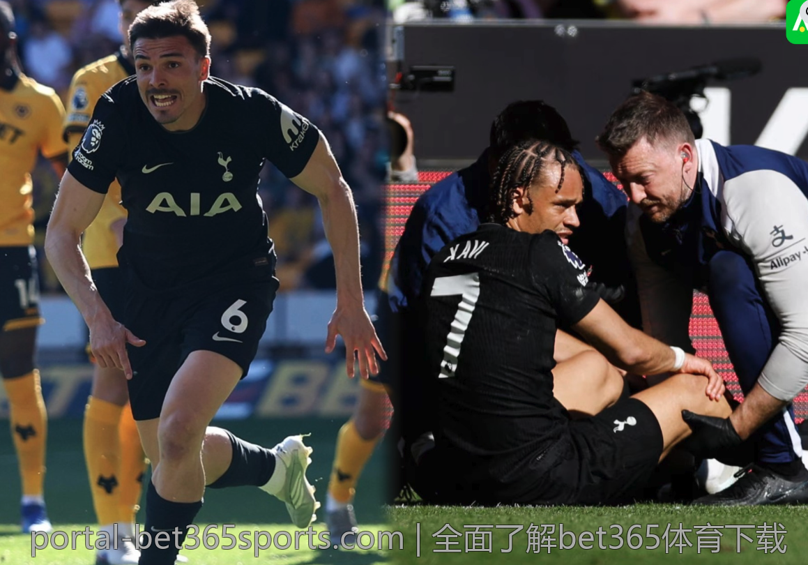 全面了解bet365体育下载